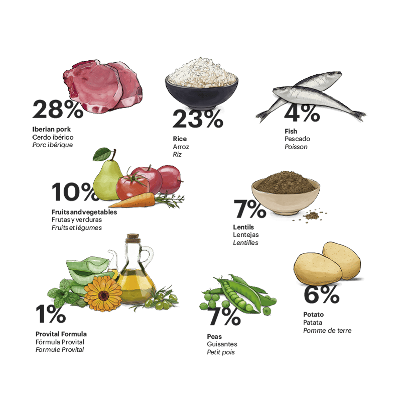 Exclusive Dog Adult Medium Iberian pork Exclusive Dog Adult Medium Iberian pork